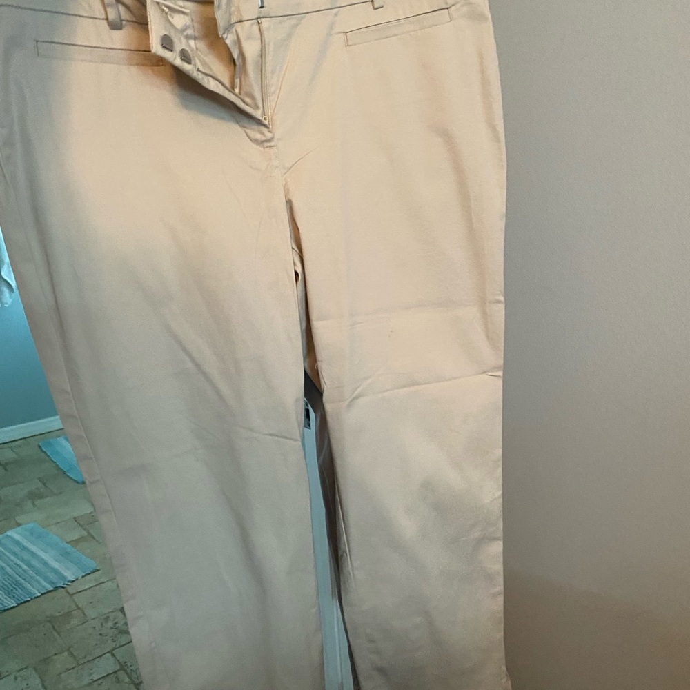 Ann Taylor Cream & Tan Ankle Pants